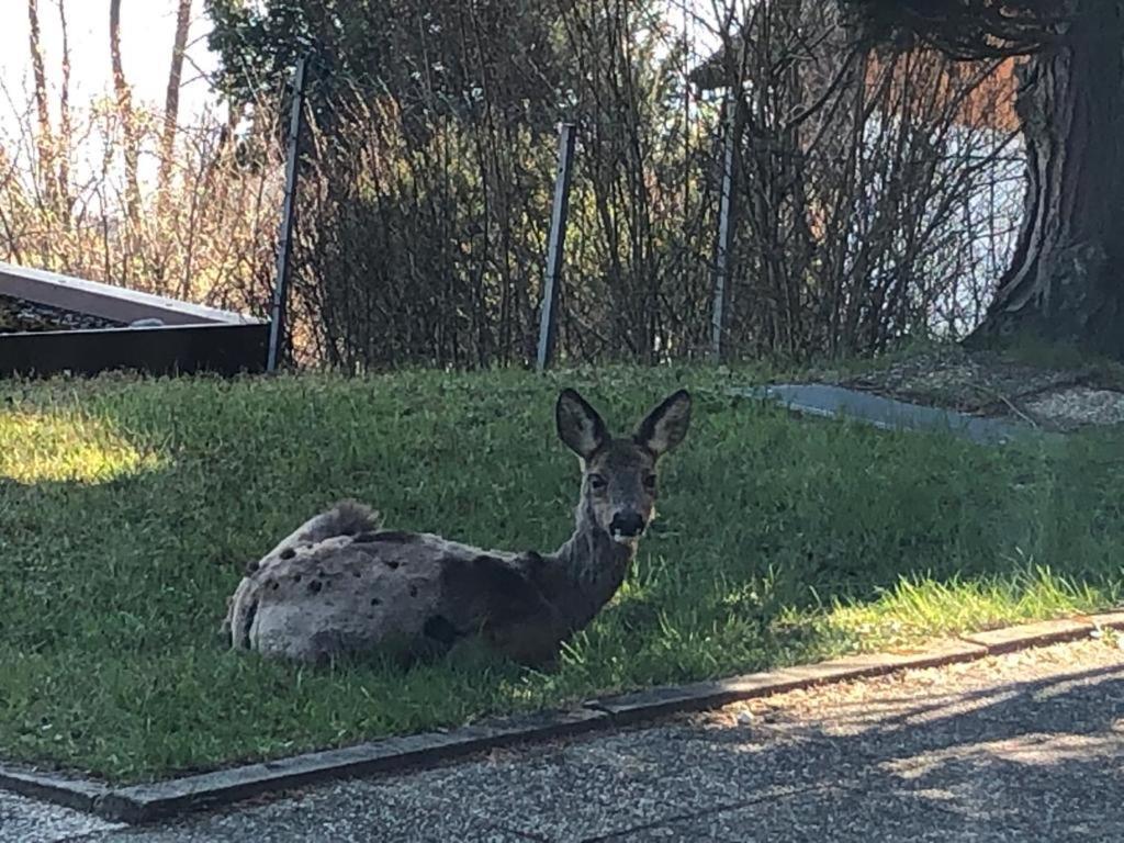 Villa Alpenblick Fussen Luaran gambar